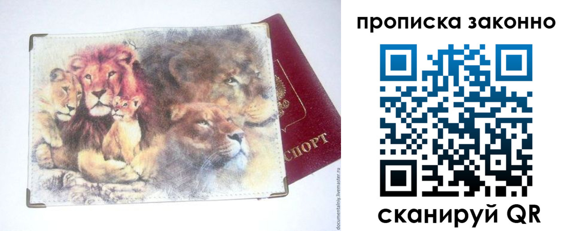 прописка от собственника в Александровске