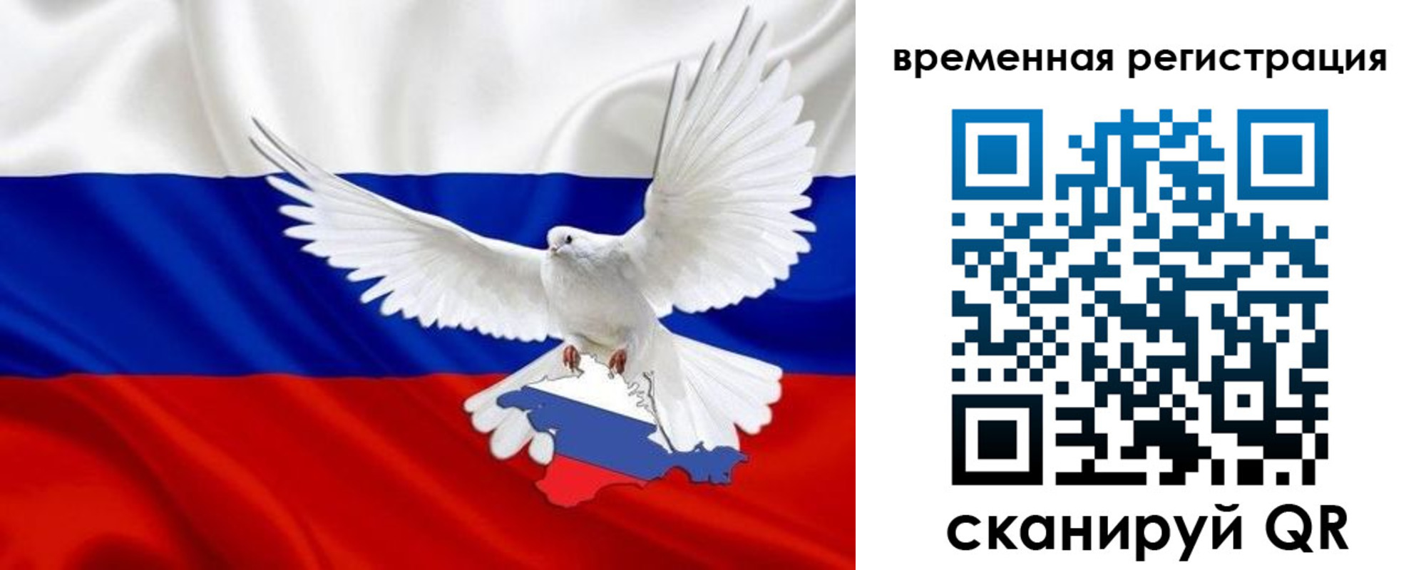 прописка законно в Александровске