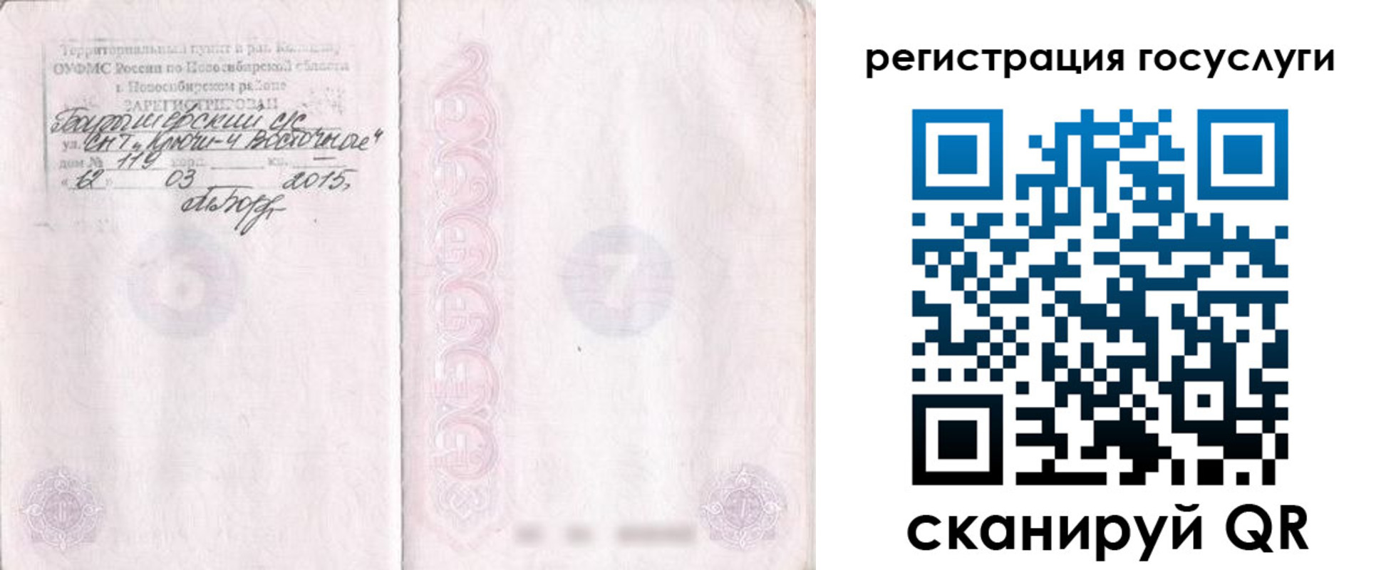 прописка для школы в Александровске
