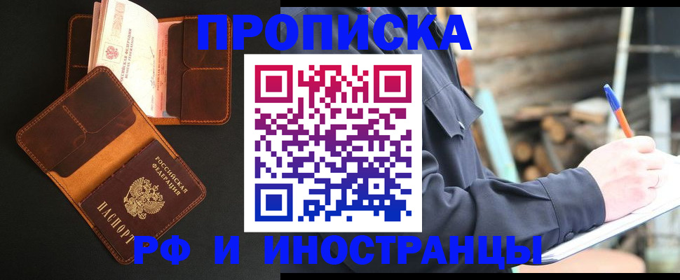 прописка 2025 в Александровске